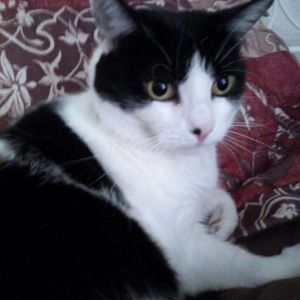 Meet your Posher, Jacqueline